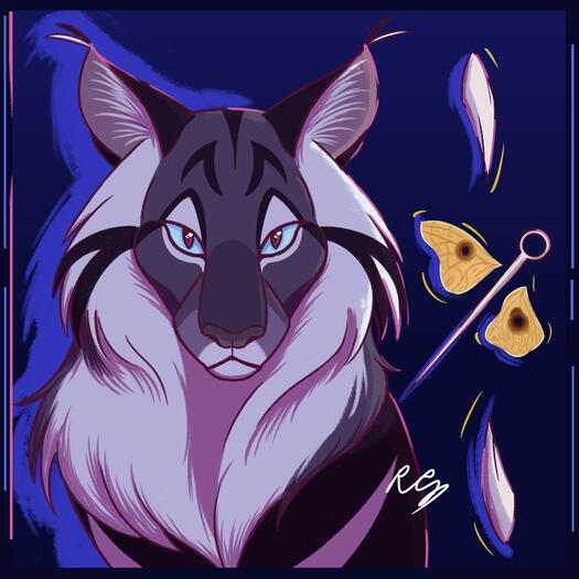 Hawkfrost
